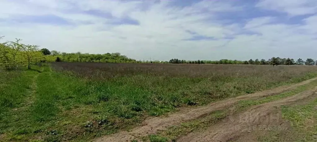Участок, 400 сот., 0 - Фото 0