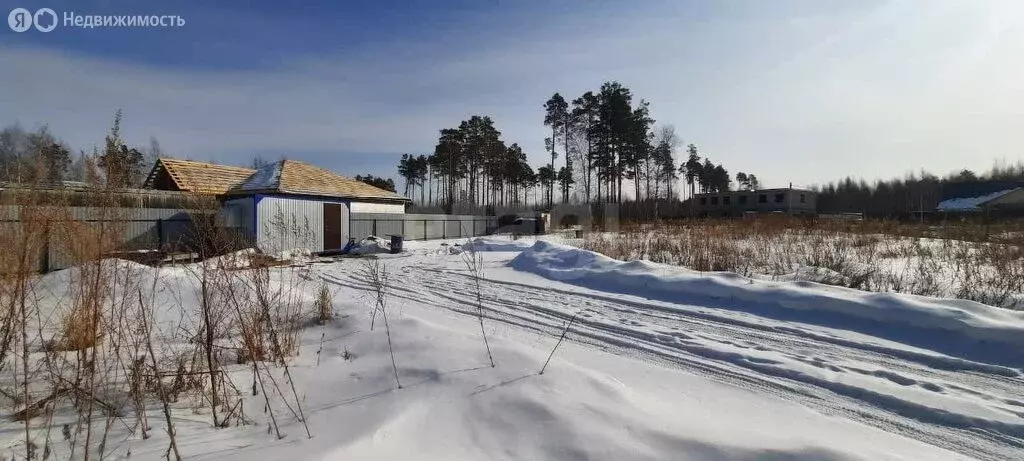 Участок в Тюменский район, СНТ Архитектор, улица Торфяников (8.24 м) - Фото 1