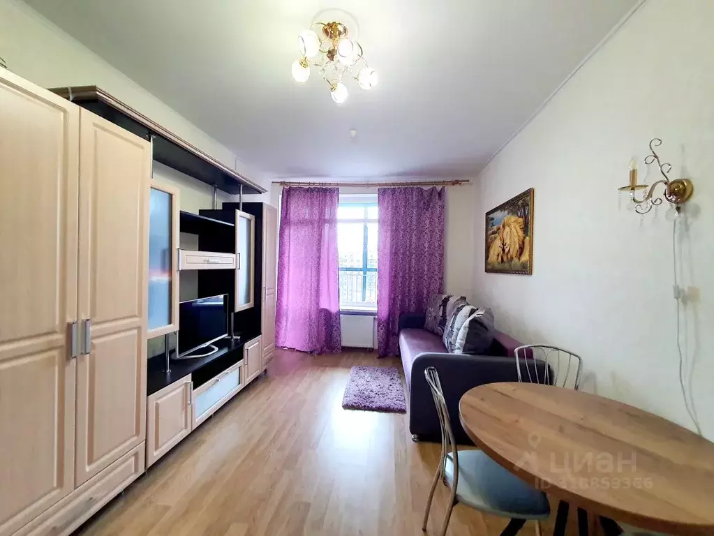 Студия Санкт-Петербург ул. Адмирала Трибуца, 5 (24.4 м) - Фото 0