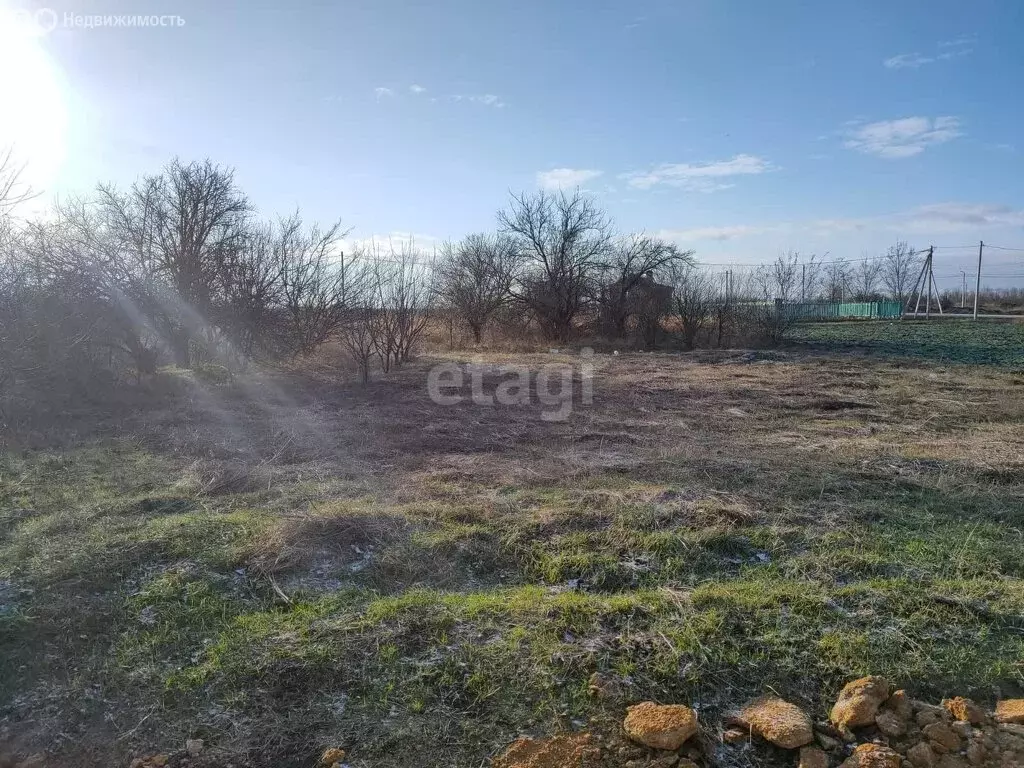 Участок в Мясниковский район, село Большие Салы (20 м) - Фото 1