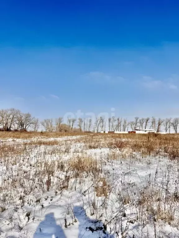 Участок в Белгородская область, Белгородский район, Дубовское с/пос, ... - Фото 0