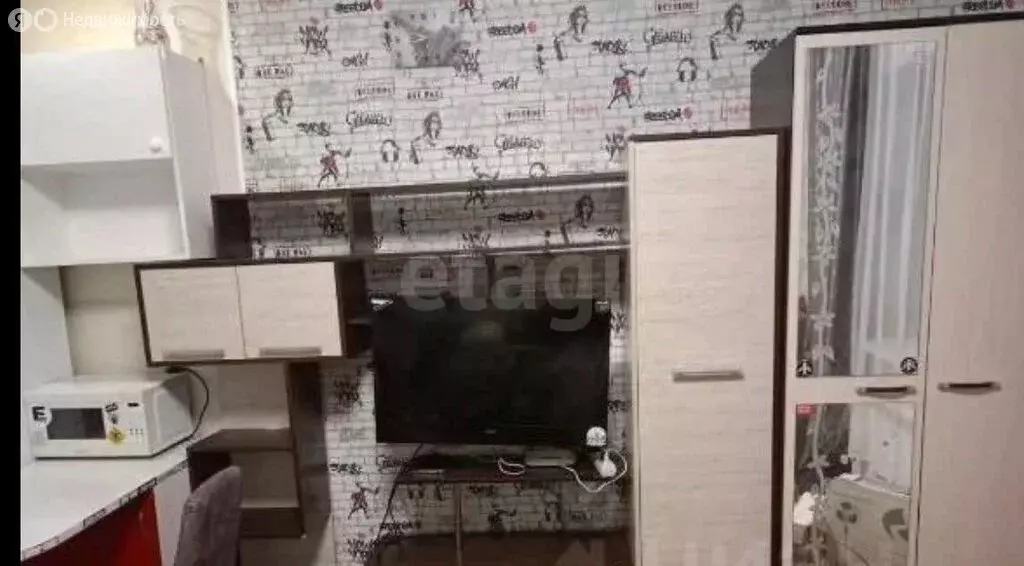 Квартира-студия: Томск, поселок Киргизка, 109 (25 м) - Фото 2