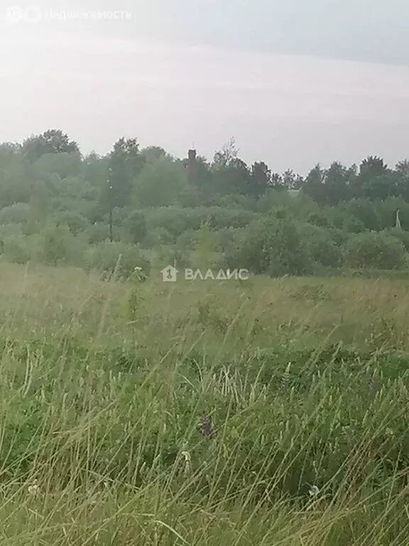 Участок в Фурманов, микрорайон Энтузиастов, 25 (8 м) - Фото 2