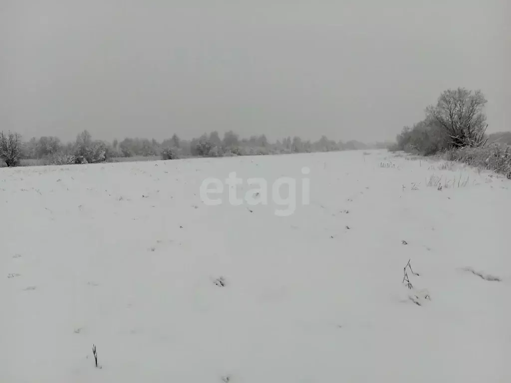 Участок, 11.8 сот., поселения (ижс) - Фото 2