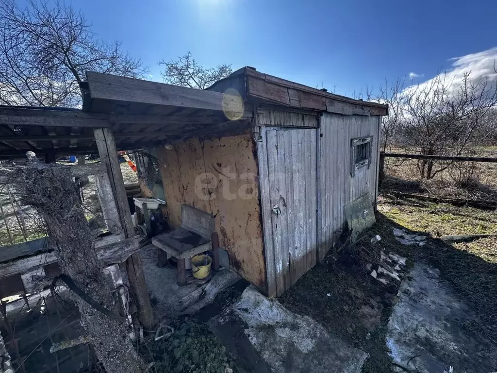 Дом в Брянская область, Брянский район, Мичуринское с/пос, Авангард ... - Фото 1