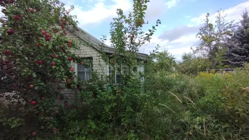 Участок в Калининградская область, Зеленоградск Прибой садоводческое ... - Фото 0