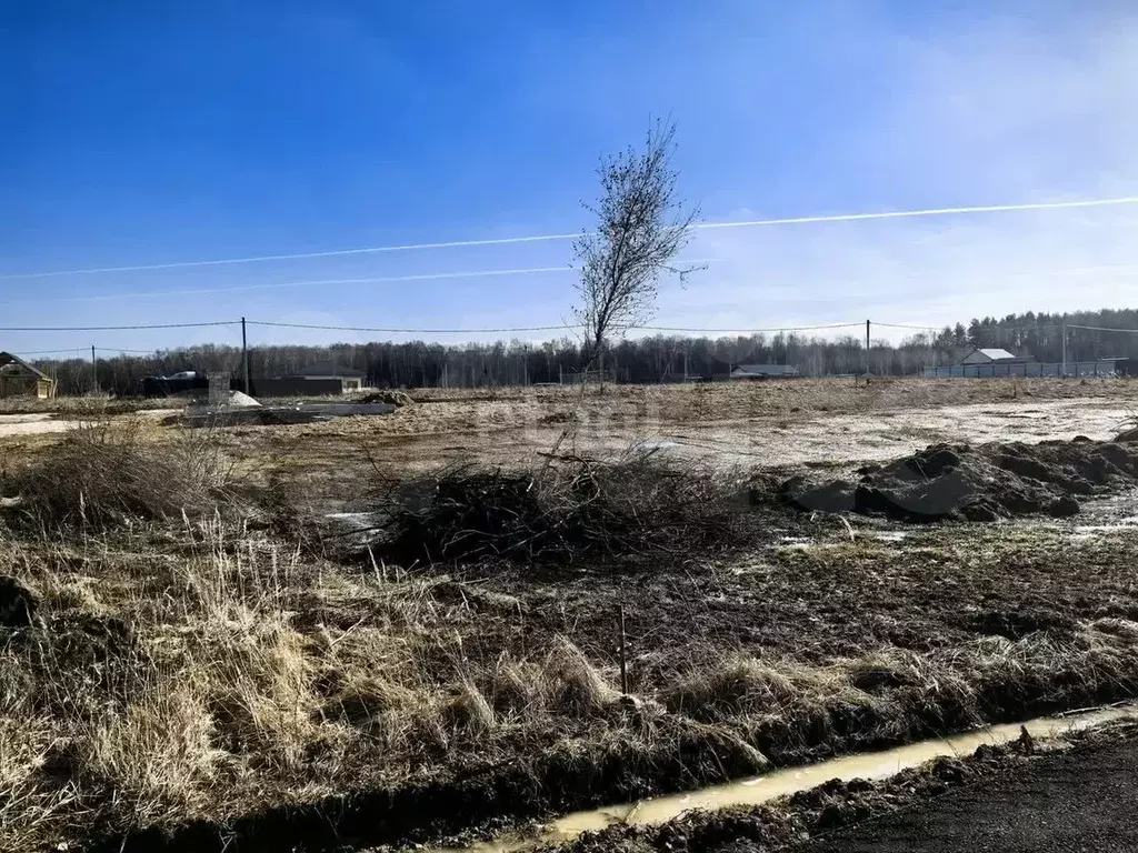 Участок 6 сот. (СНТ, ДНП) - Фото 1