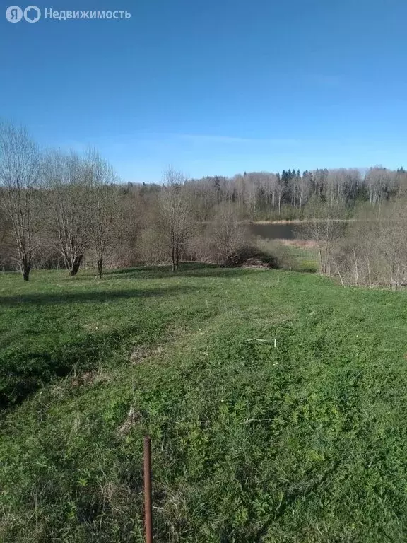 Участок в Яжелбицкое сельское поселение, деревня Борцово (50 м) - Фото 2