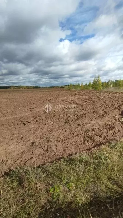 Участок в Кировская область, Слободской район, Шиховское с/пос, д. ... - Фото 2