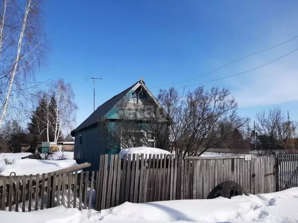 Дом в Омская область, Любинский район, Факел-2 СНТ 162 (25 м) - Фото 0