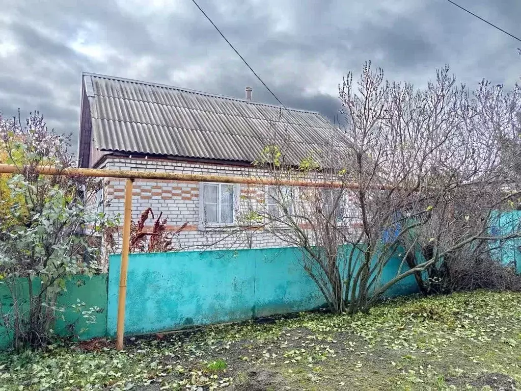 Дом в Белгородская область, Губкин Нижняя ул., 13 (59 м) - Фото 1