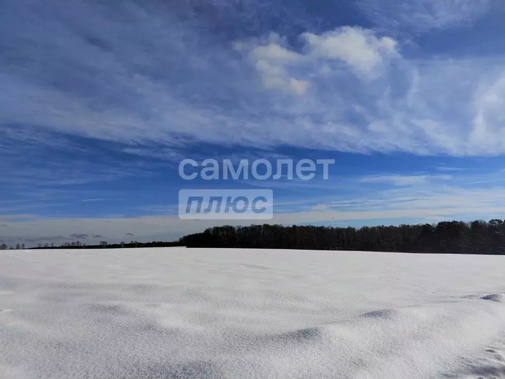Участок в Калужская область, Ферзиковский район, Красный Городок ... - Фото 2