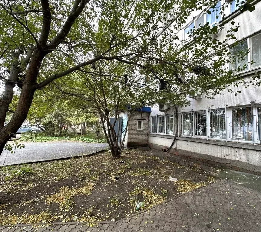 Торговая площадь в Челябинская область, Челябинск Салютная ул., 23 (58 ... - Фото 1