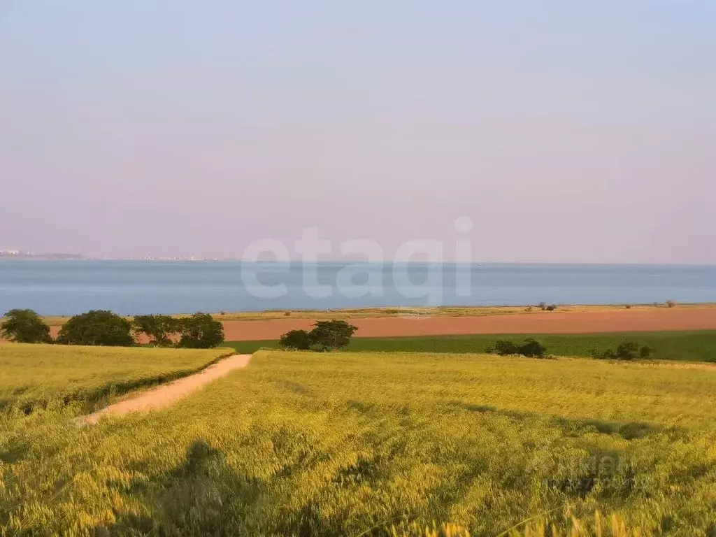 Участок в Крым, Ленинский район, с. Приозерное ул. Тернопольская (4.0 ... - Фото 1