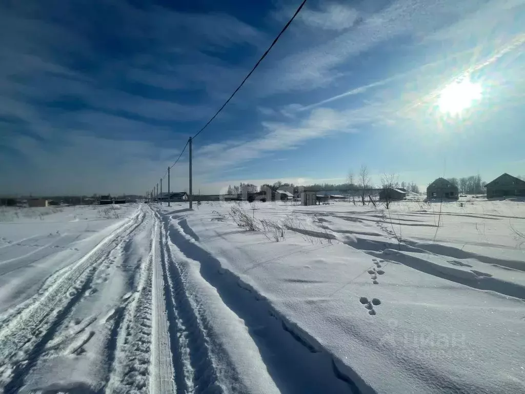 Участок в Новосибирская область, Новосибирский район, Станционный ... - Фото 0