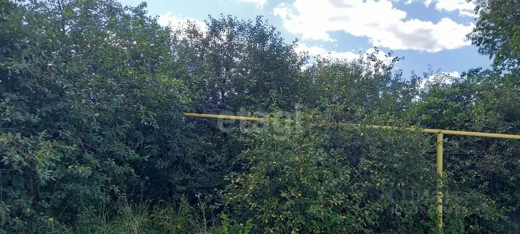 Участок в Белгородская область, Корочанский район, Мелиховское с/пос, ... - Фото 1