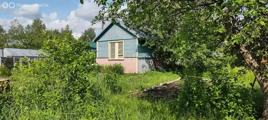 Участок в Кострома, садоводческое некоммерческое товарищество ... - Фото 1