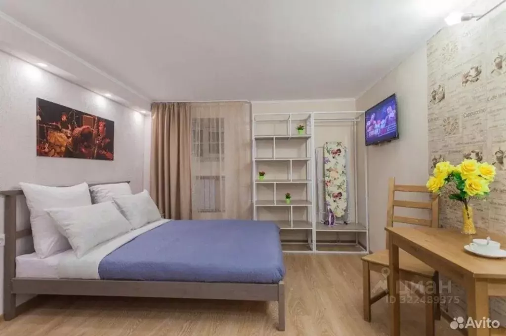 Студия Санкт-Петербург 2-я Васильевского острова линия, 3 (18.5 м) - Фото 2