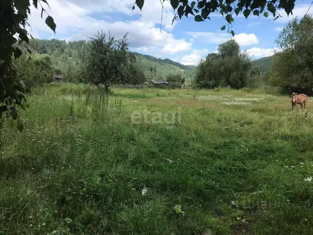 Участок в Алтай, Турочакский район, с. Кебезень ул. ... - Фото 1