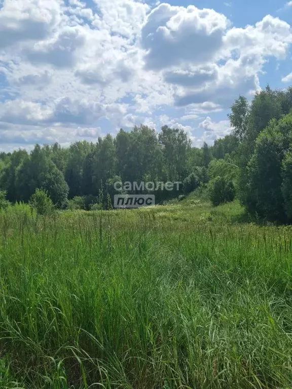 Участок в Нижегородская область, Нижний Новгород д. Слопинец,  (116.0 ... - Фото 0