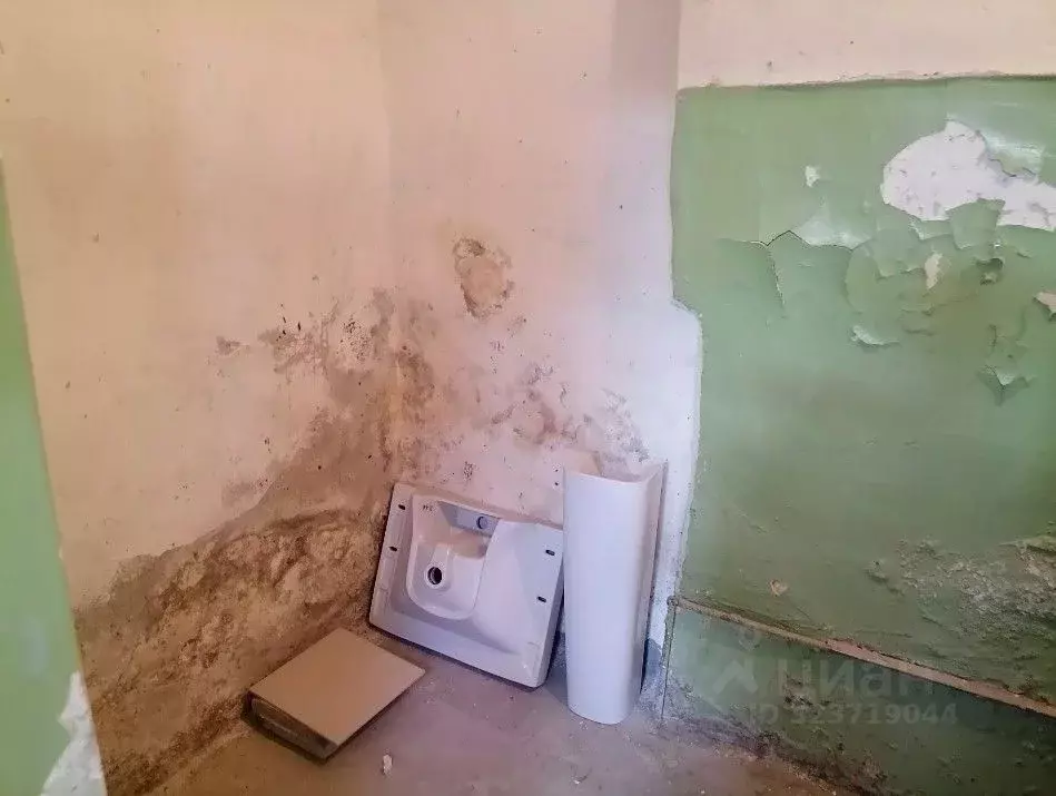 Помещение свободного назначения в Томская область, Томск просп. ... - Фото 2