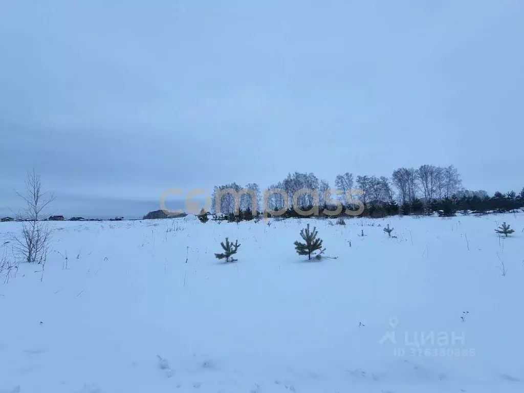 Участок в Тюменская область, Тюмень Ирбитский Тракт 3-й км от ... - Фото 1