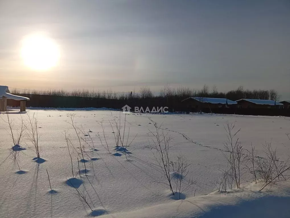 Участок в Пермский край, Пермский муниципальный округ, д. Ерепеты ул. ... - Фото 2