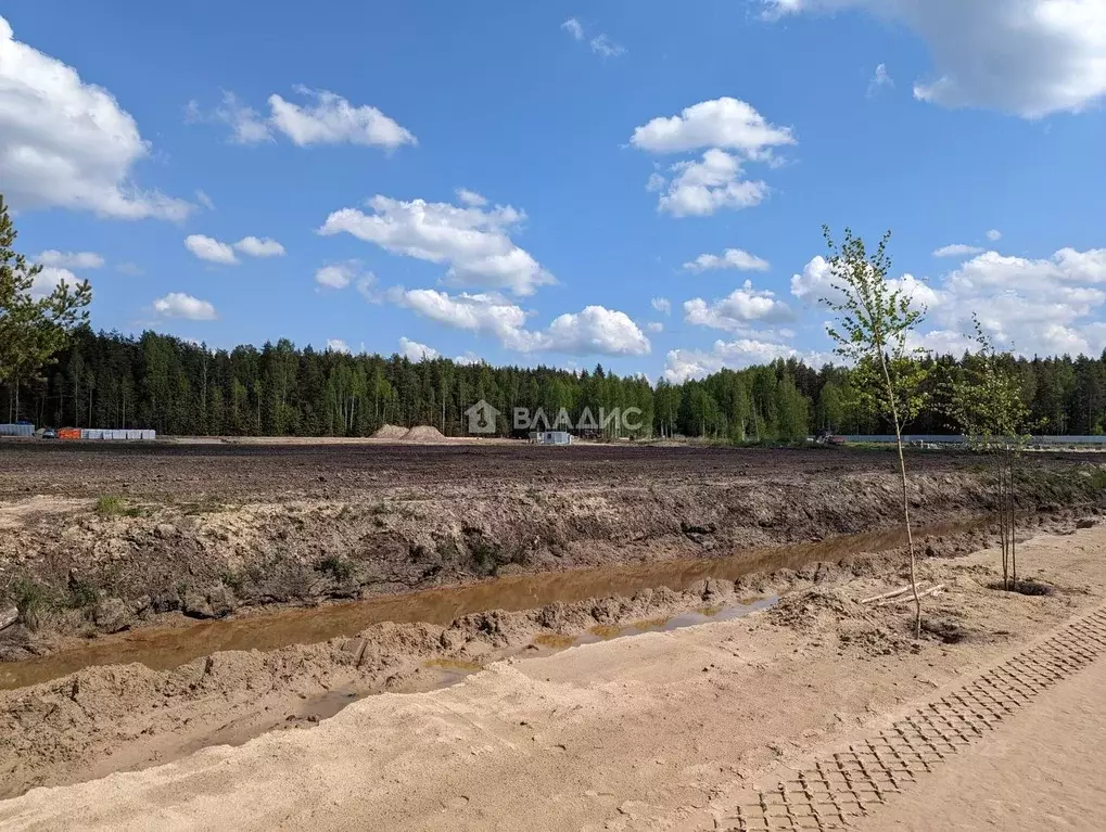 Участок в Ленинградская область, Всеволожский район, Колтушское ... - Фото 1