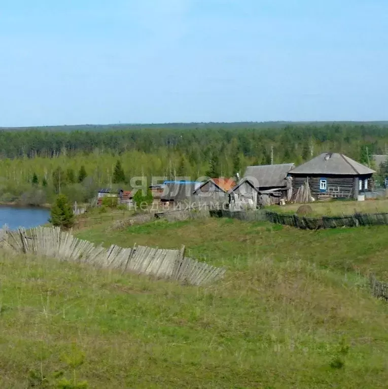 Участок в Пермский край, Березники муниципальный округ, д. Белая Пашня ... - Фото 1
