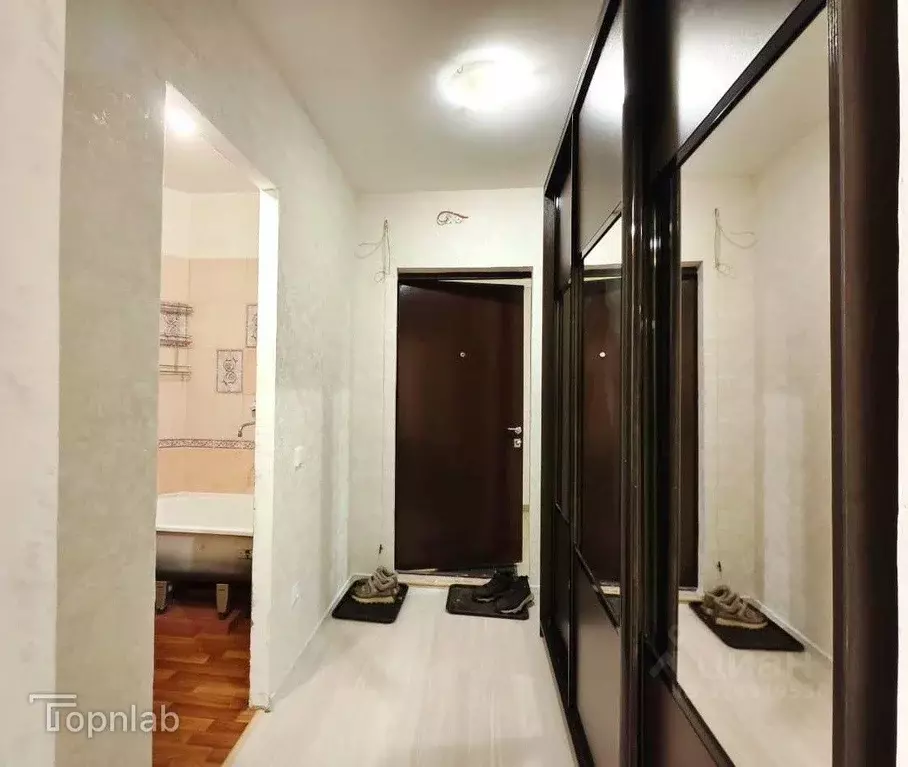 Студия Санкт-Петербург Шуваловский просп., 74к2 (26.6 м) - Фото 1