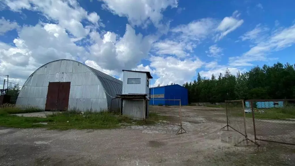 склад в новгородская область, новгородский район, панковское городское . - Фото 0