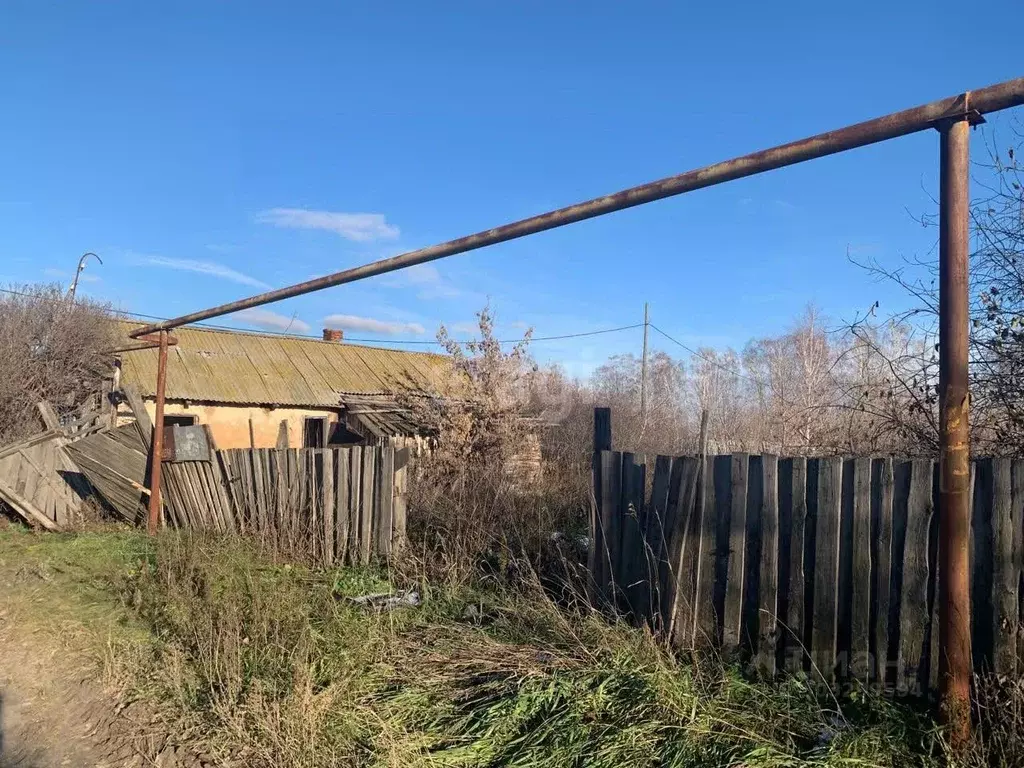 Участок в Челябинская область, Копейский городской округ, с. Калачево ... - Фото 1