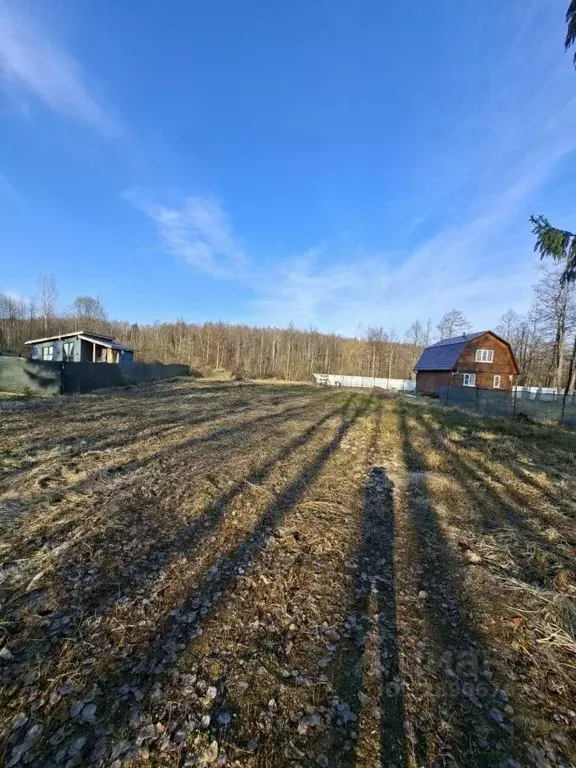 Участок в Московская область, Талдомский городской округ, с. Темпы  ... - Фото 1