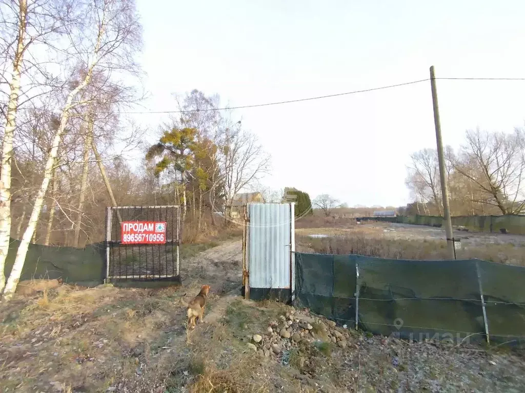 Участок в Калининградская область, Зеленоградский муниципальный округ, ... - Фото 1