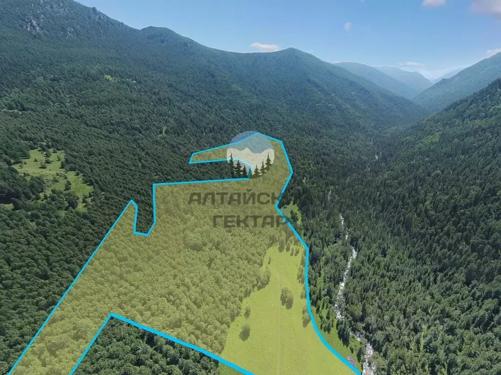 Участок в Алтай, Усть-Коксинский район, с. Тихонькая Центральная ул., ... - Фото 1