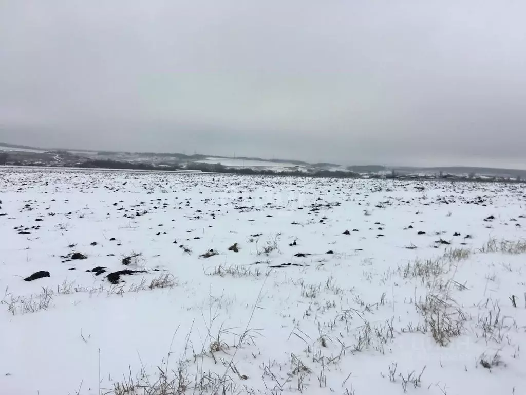 Участок в Белгородская область, Белгородский район, Беловское с/пос, ... - Фото 1