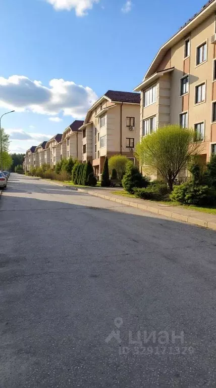 1-к кв. Московская область, Пушкинский городской округ, пос. Лесные ... - Фото 2