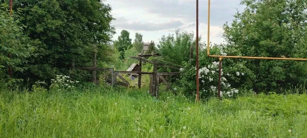 Участок в Пермский край, Пермь Нижнее Васильево мкр, ул. Сургутская, ... - Фото 2