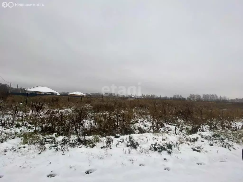 Участок в Дмитровский городской округ, деревня Кончинино (10 м) - Фото 0