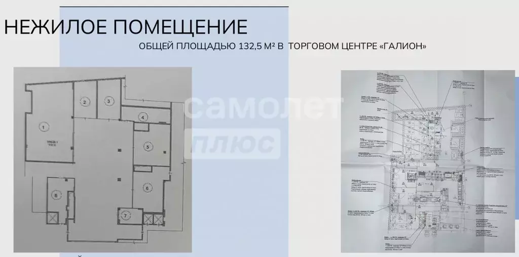 Помещение свободного назначения в Московская область, Балашиха ш. ... - Фото 2