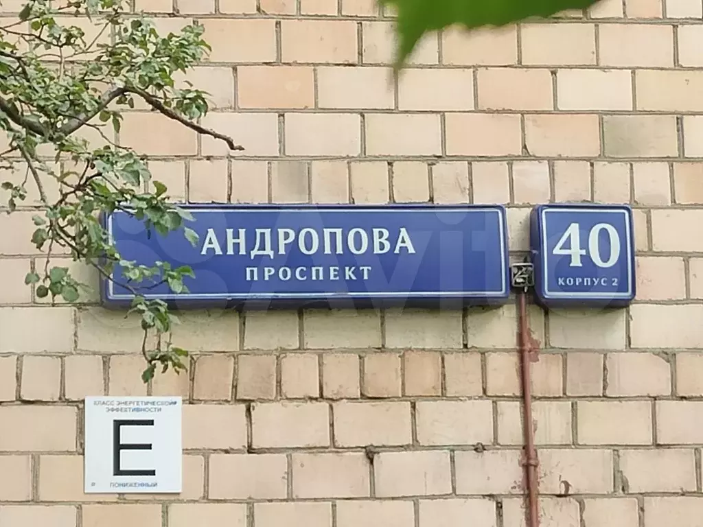 3-к. квартира, 53,8 м, 6/8 эт. - Фото 1