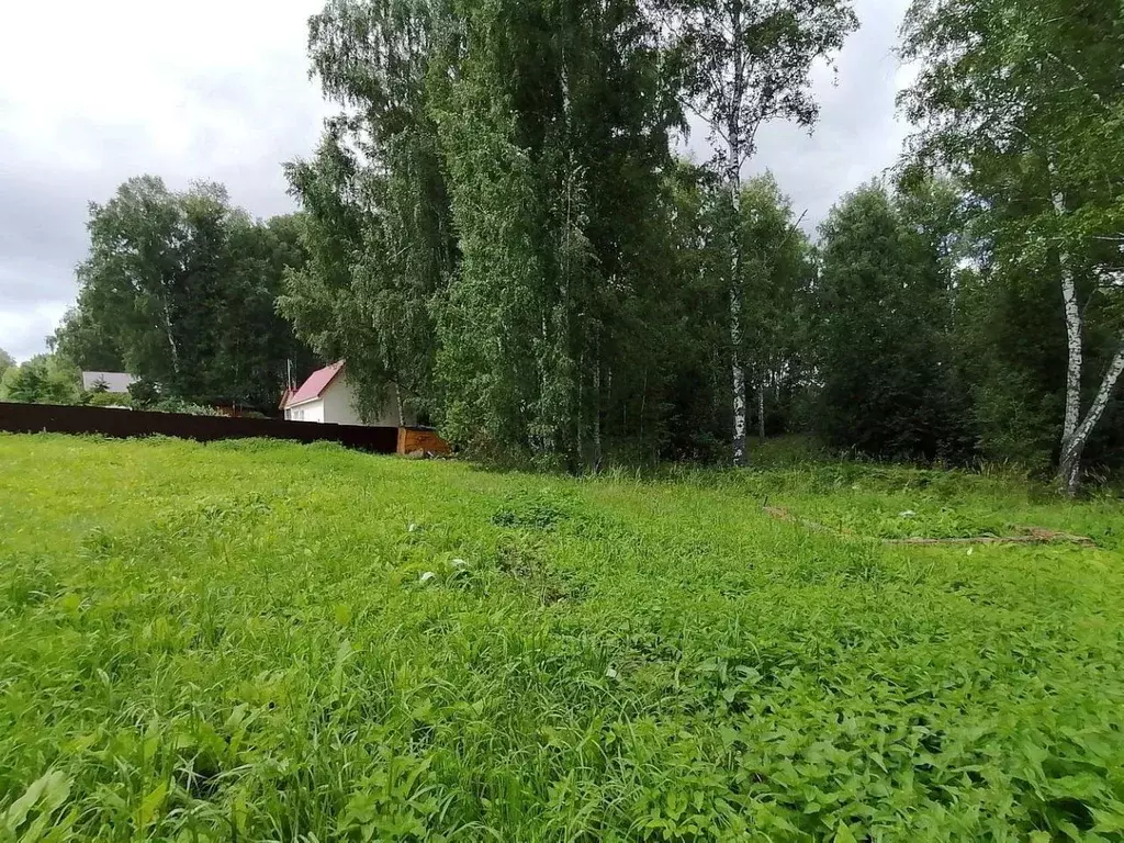 Участок в Новосибирская область, Новосибирский район, Барышевский ... - Фото 1