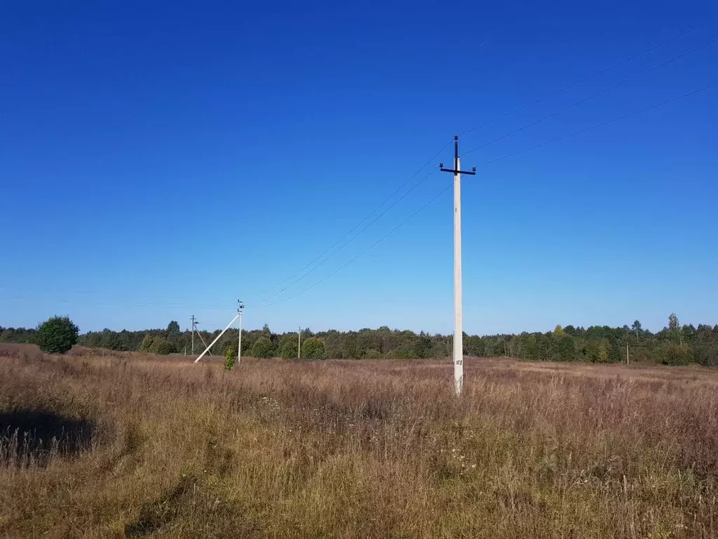 Участок в Тверская область, Торопецкий район, д. Ольховка  (720.0 ... - Фото 0