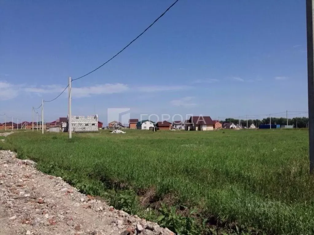 Участок в Алтайский край, Барнаул городской округ, пос. Центральный ... - Фото 1