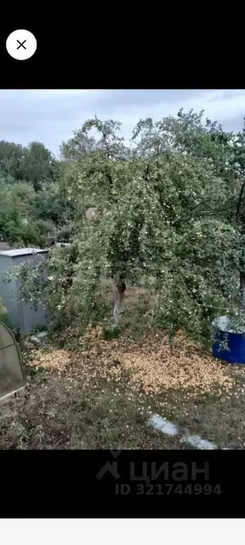 Дом в Башкортостан, Кармаскалинский район, Старомусинский сельсовет, ... - Фото 2