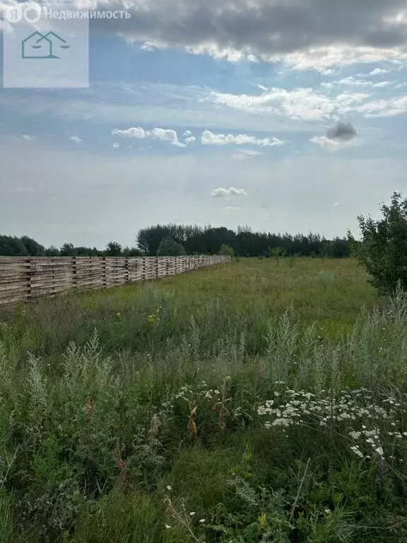 Участок в Новая Усмань, Октябрьская улица, 433/1 (44 м) - Фото 1