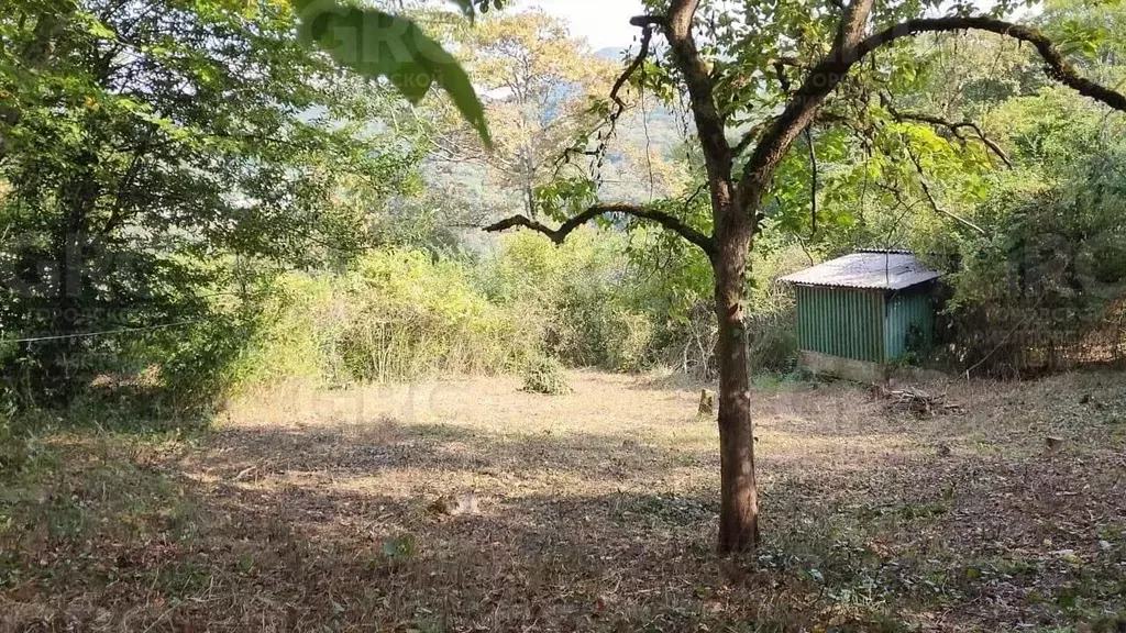 Участок в Краснодарский край, Сочи Приморье мкр, ул. Есауленко, 12/2 ... - Фото 2