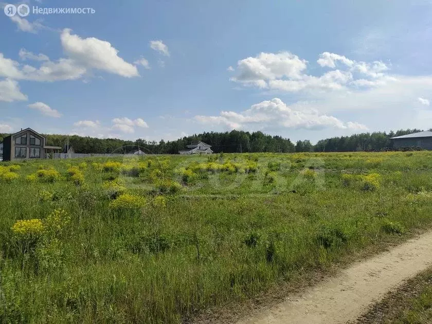 Участок в Усть-Ницинское сельское поселение, деревня Ёлкина (23 м) - Фото 1