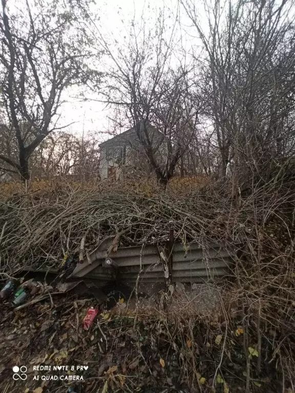 Участок в Белгородская область, Яковлевский муниципальный округ, село ... - Фото 1