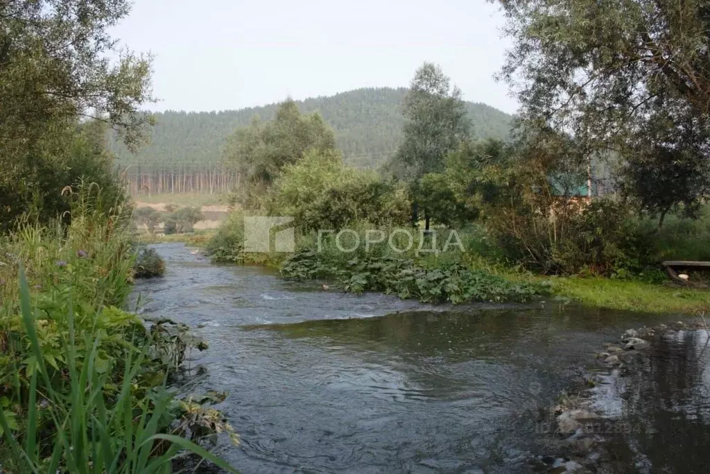 Участок в Алтайский край, Алтайский район, с. Нижнекаянча ул. ... - Фото 1